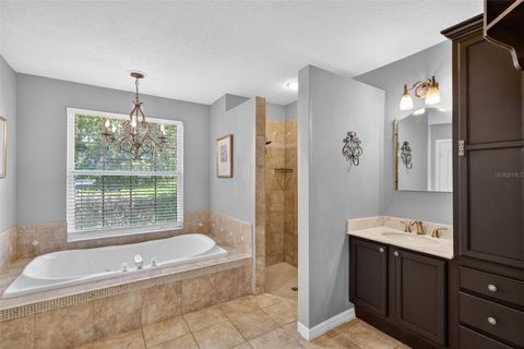 Tiny photo for 11424 Via De Renee Pl, Clermont, FL 34711 (MLS # G5112591)