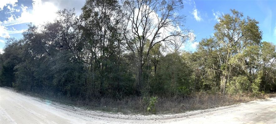 RARE FIND!!! OVER AN ACRE (1.25 ACRES)  Located just outside the town of Bronson. Don't Miss your chance to acquire affordable land before inflation keeps progressing. Zoned for either site-built homes or Manufactured homes. Parcel Measures about 164' x 300'. Perfect for Investors, homeowners, absentee owners.