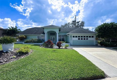 A home in PALM HARBOR