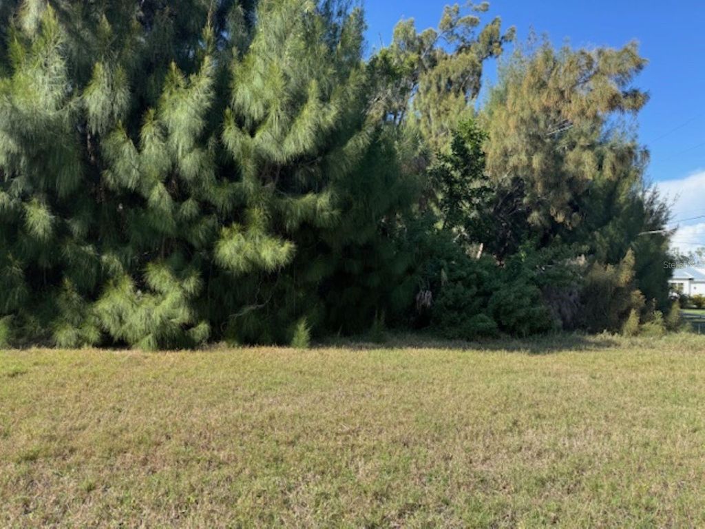 Photo of 75 Green Dolphin Drive N, Placida, FL 33946 (MLS # A4683286)
