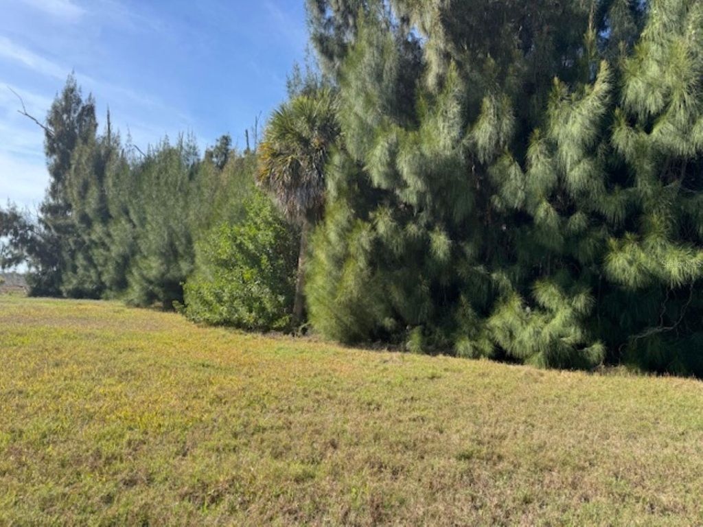 Photo of 75 Green Dolphin Drive N, Placida, FL 33946 (MLS # A4683286)