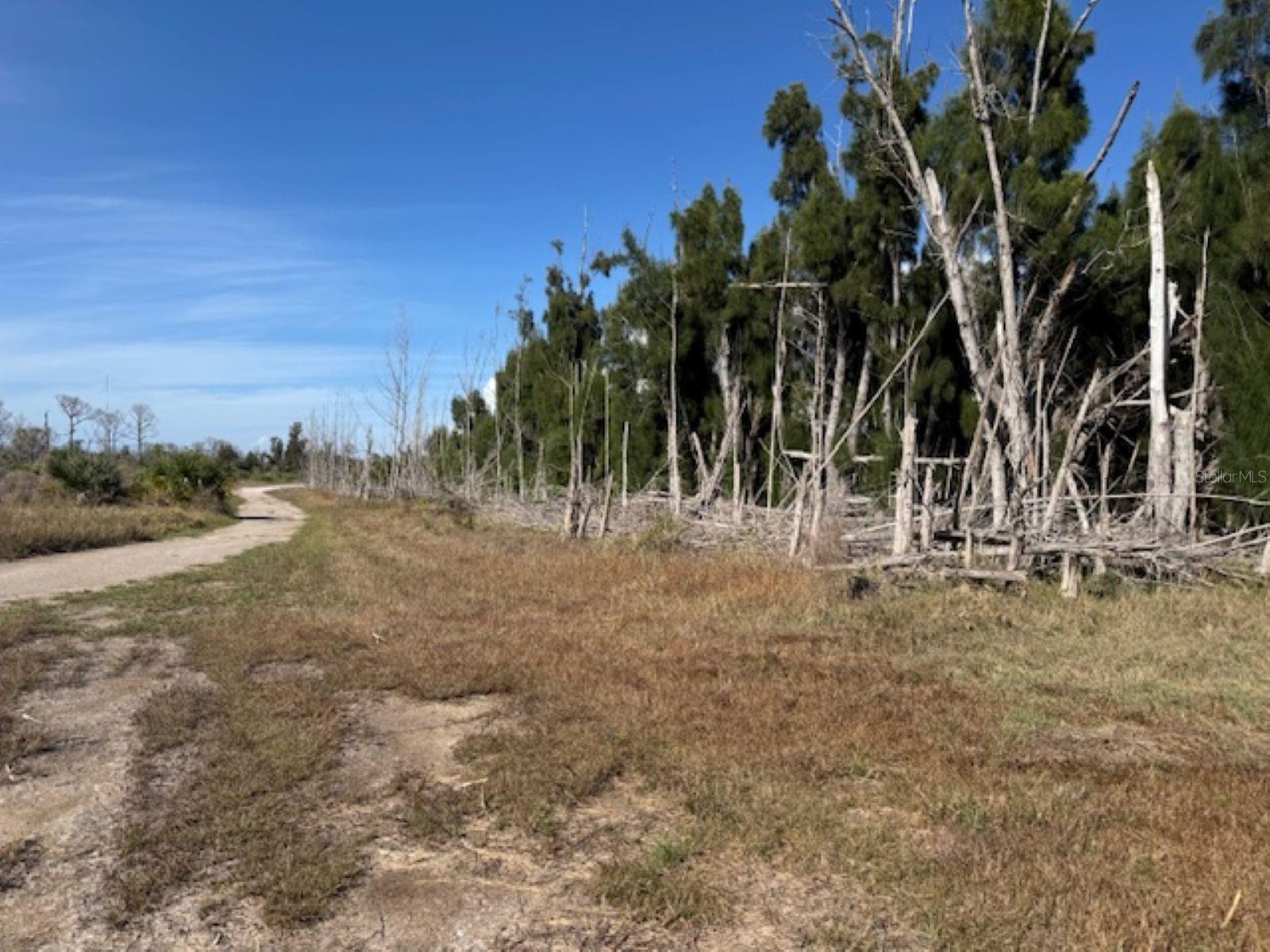 75 GREEN DOLPHIN DRIVE N