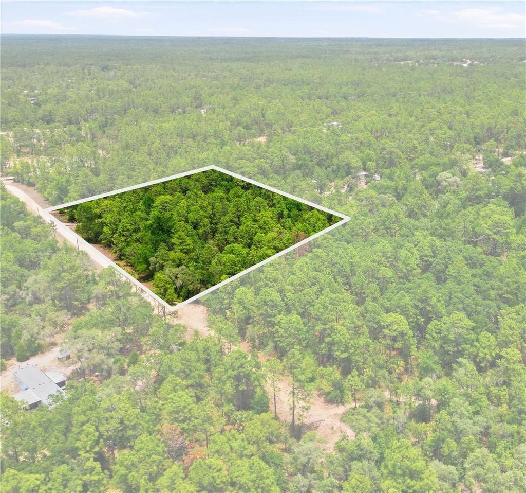 Photo of 5339 N Lace Point, Dunnellon, FL 34433 (MLS # OM724736)