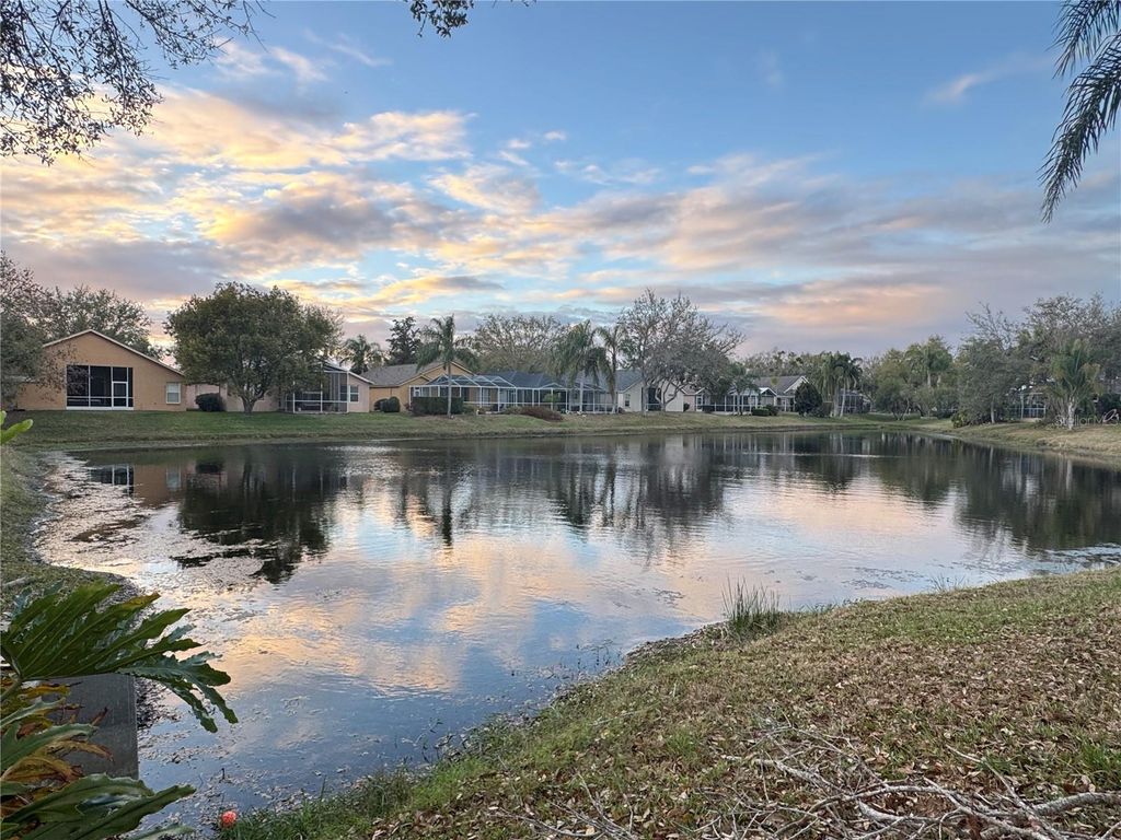 Photo of 10130 Heather Sound Drive, Tampa, FL 33647 (MLS # TB8482922)