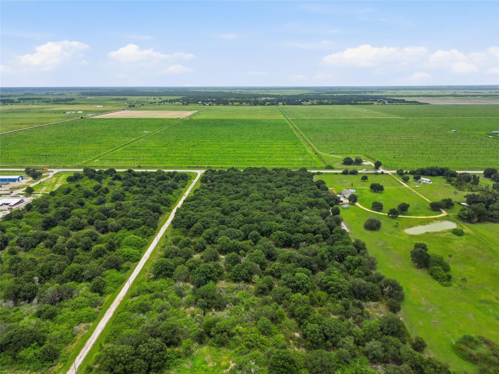 SE HWY 31