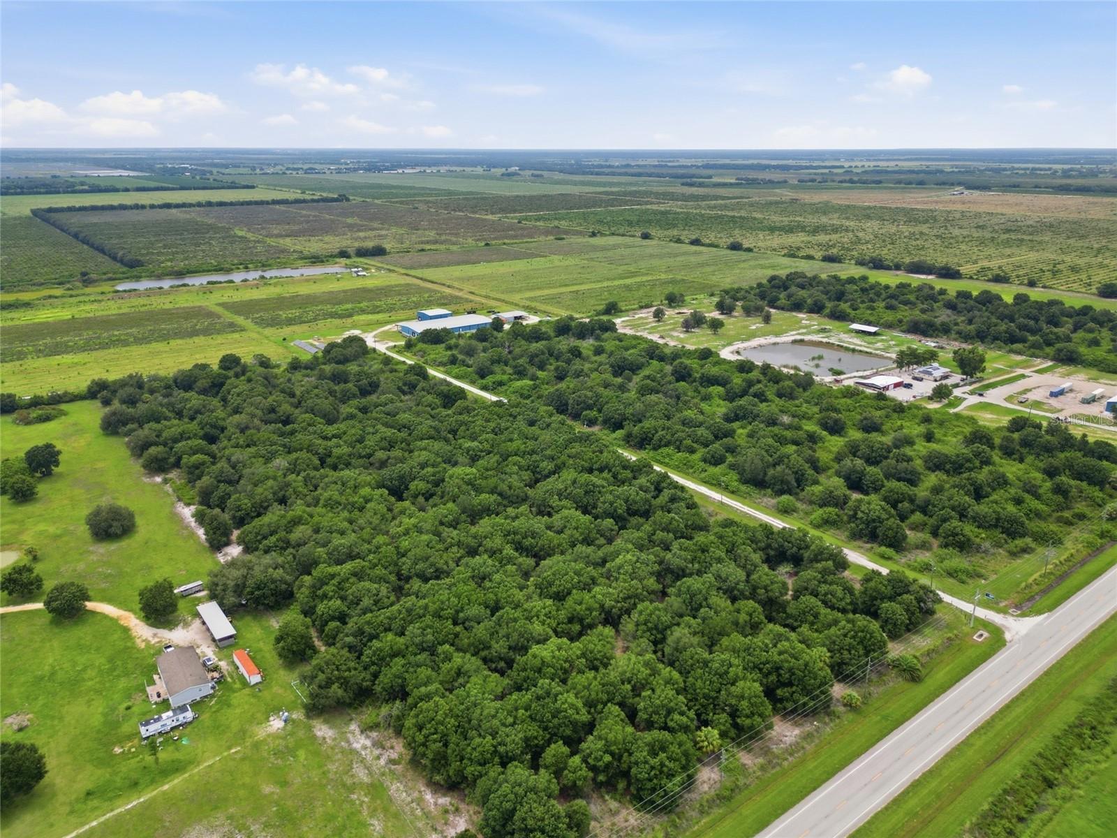 SE HWY 31