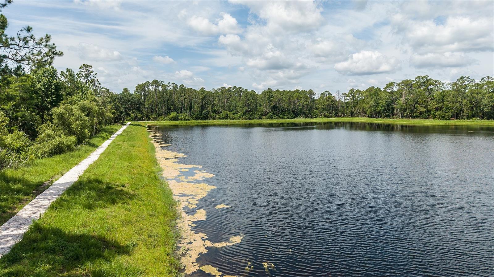 ARDISIA PARK - Residential
