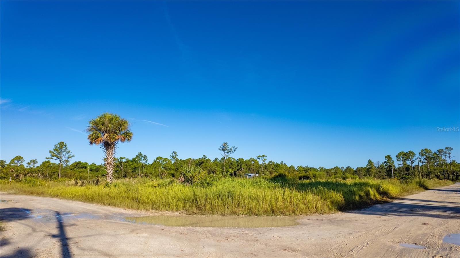 CHARLOTTE RANCHETTES #447 & 44 - Land