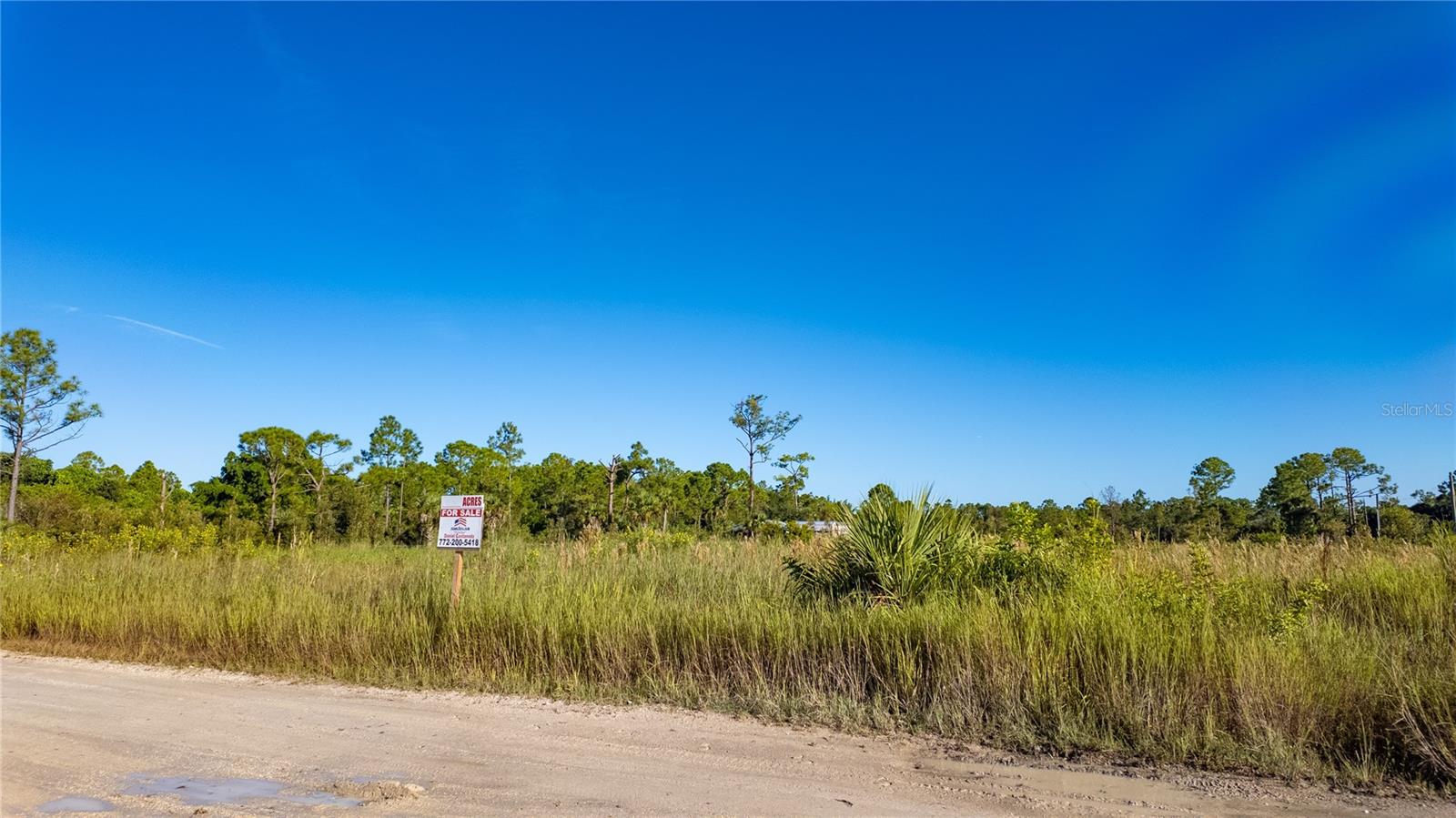 CHARLOTTE RANCHETTES #447 & 44 - Land