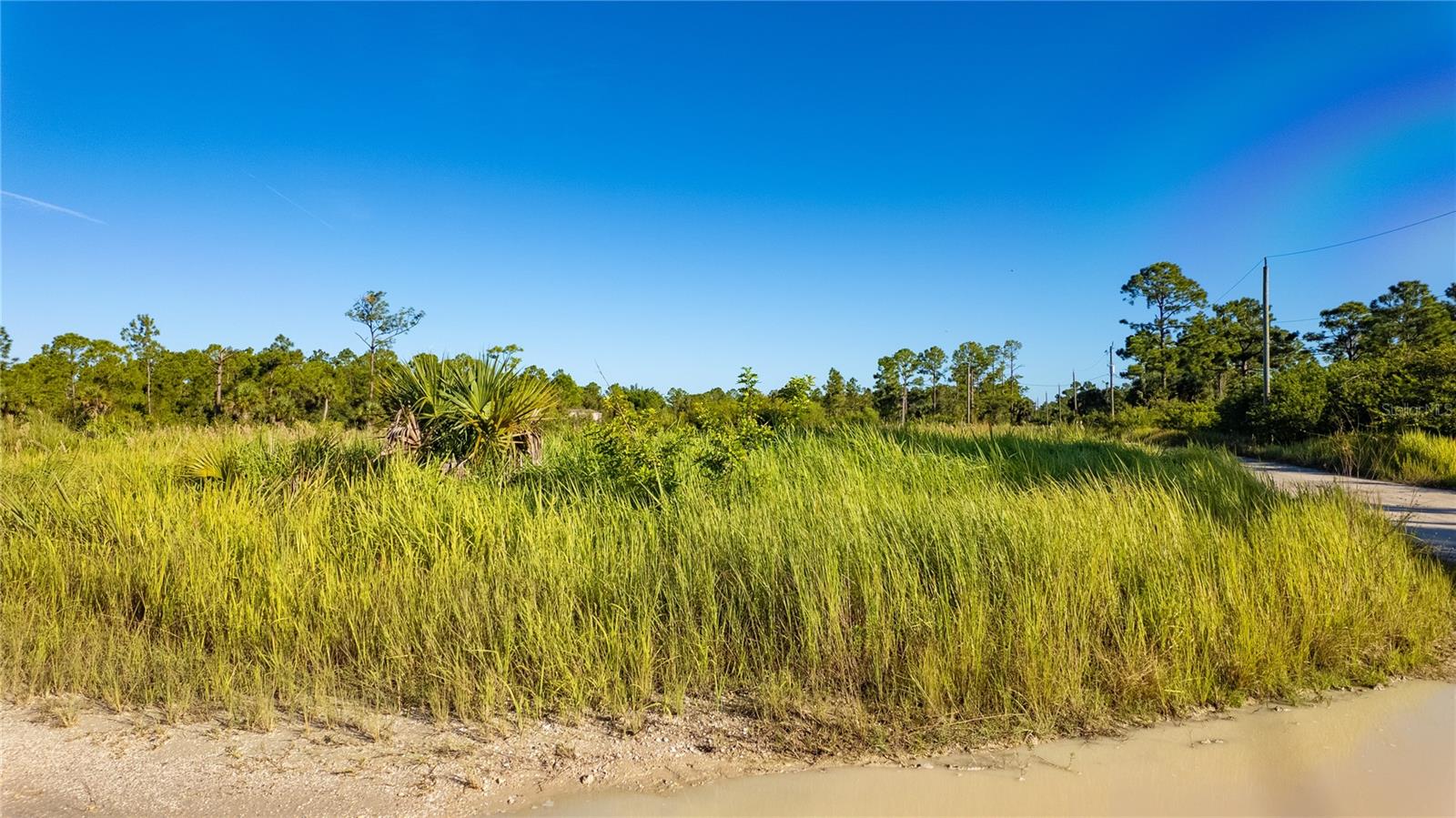 CHARLOTTE RANCHETTES #447 & 44 - Land