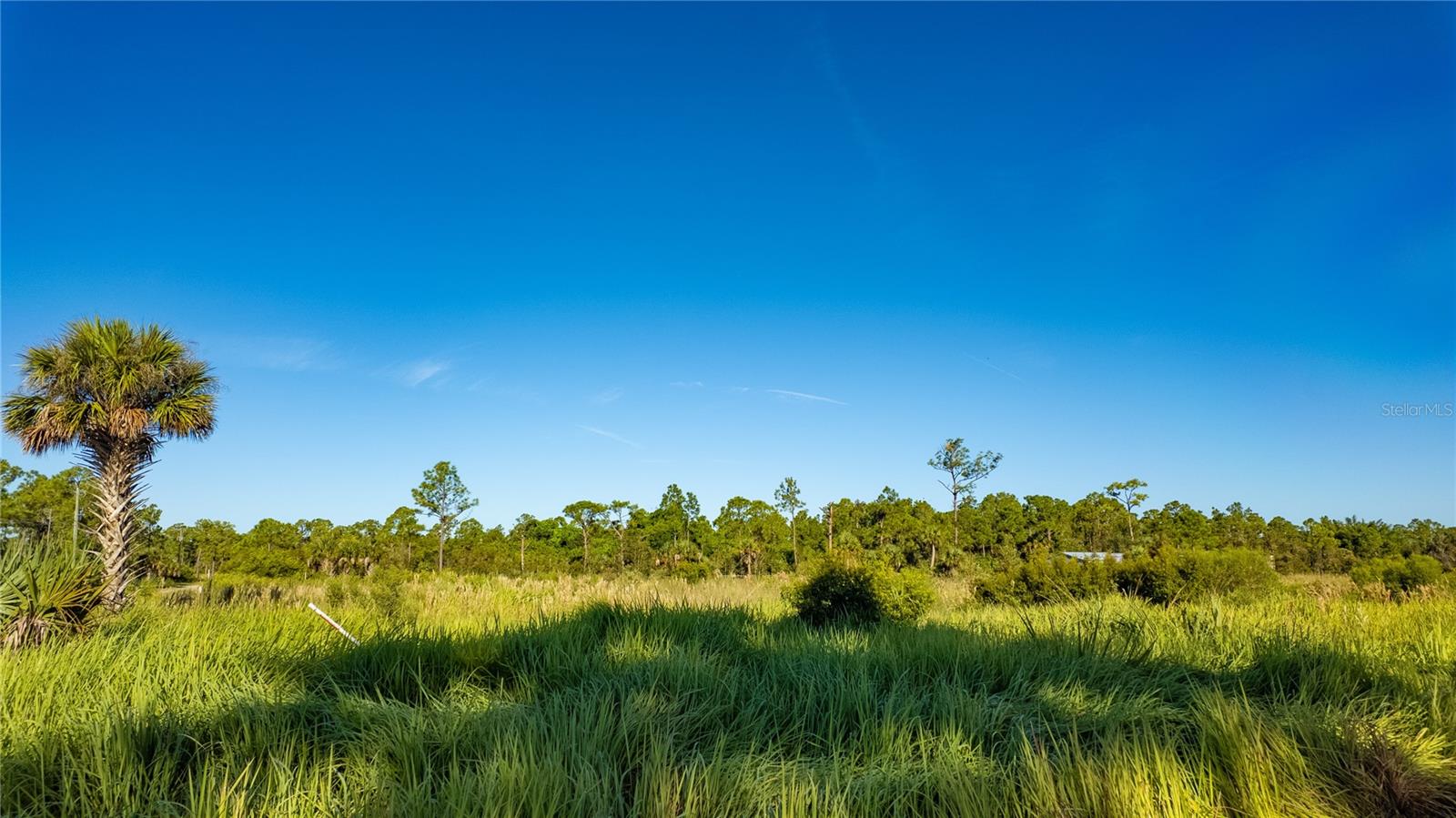 CHARLOTTE RANCHETTES #447 & 44 - Land