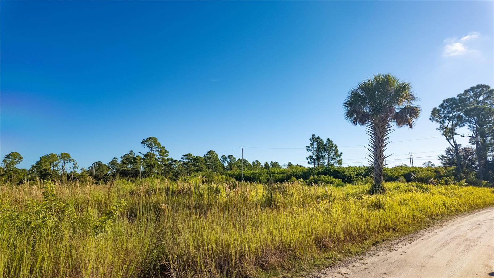 CHARLOTTE RANCHETTES #447 & 44 - Land