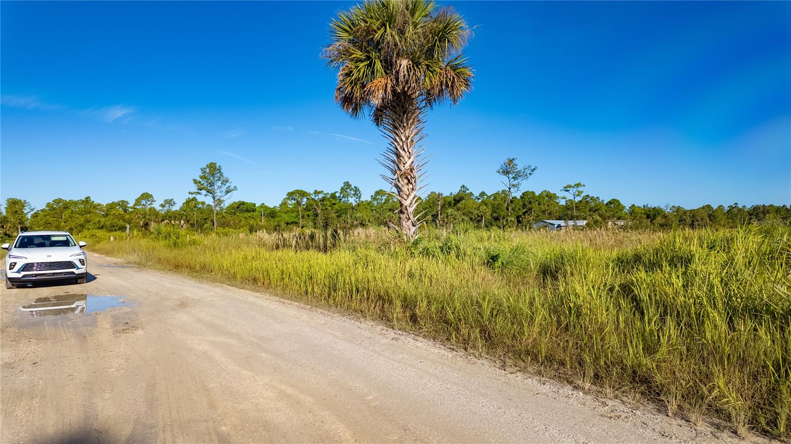 CHARLOTTE RANCHETTES #447 & 44 - Land