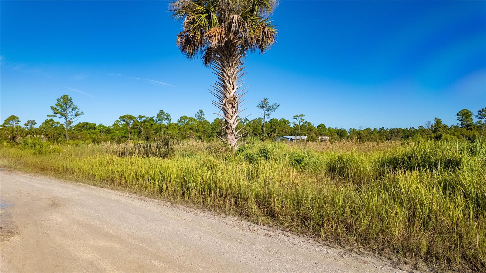 CHARLOTTE RANCHETTES #447 & 44 - Land