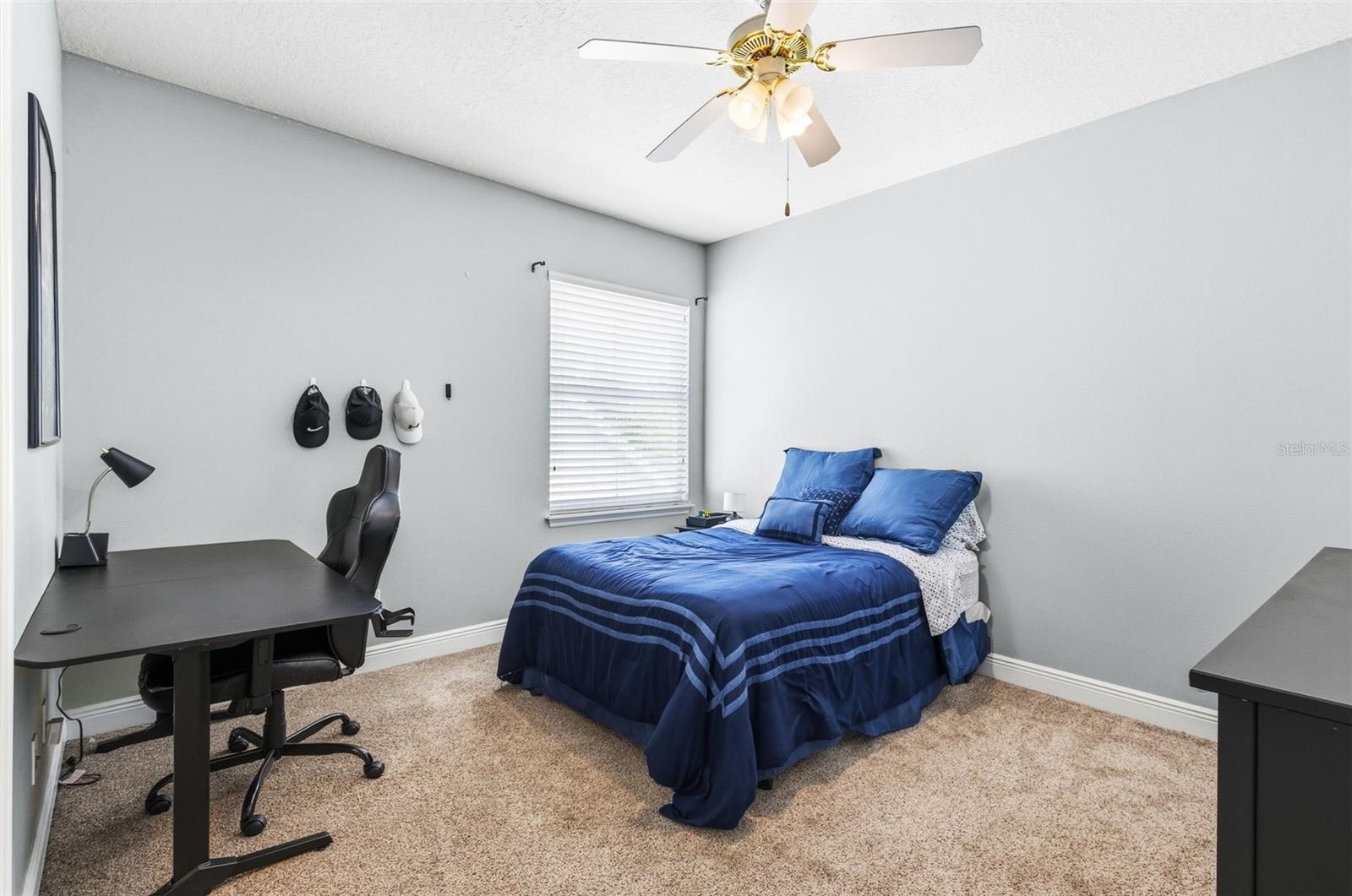 AVALON PARK - Residential