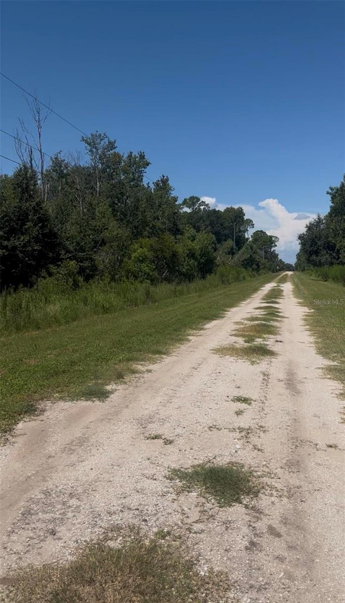 Photo of 2836 W Starr Road, Avon Park, FL 33825 (MLS # O6448988)