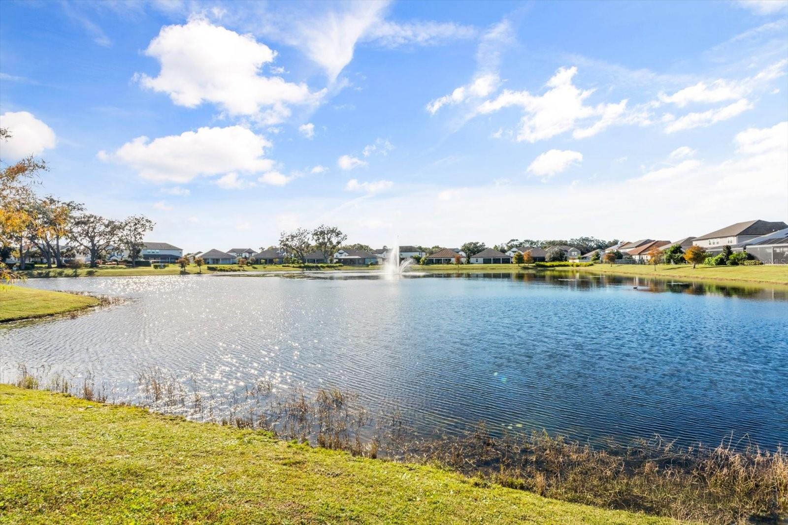 WATERS EDGE AT HAWKS CREST - Residential