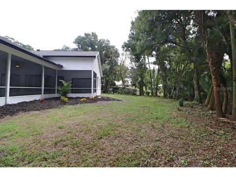 A home in NEW SMYRNA BEACH