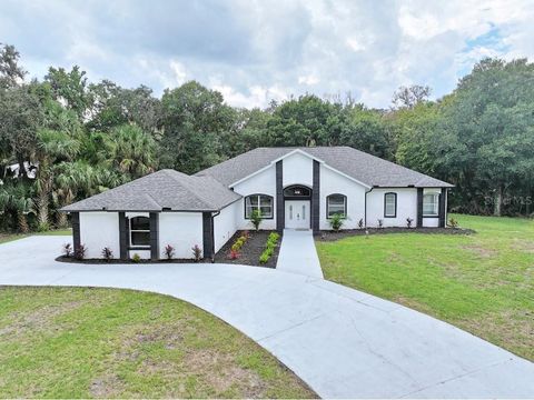 A home in NEW SMYRNA BEACH