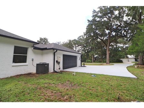 A home in NEW SMYRNA BEACH