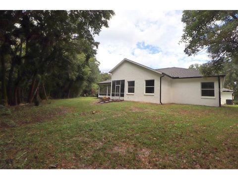 A home in NEW SMYRNA BEACH