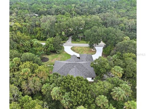 A home in NEW SMYRNA BEACH