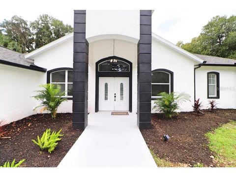 A home in NEW SMYRNA BEACH