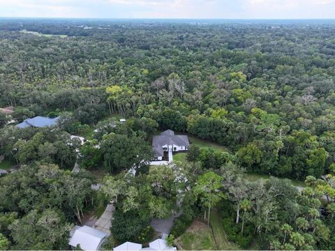 A home in NEW SMYRNA BEACH