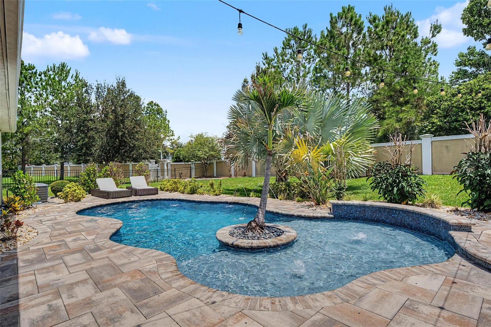 11882 FROST ASTER DRIVE