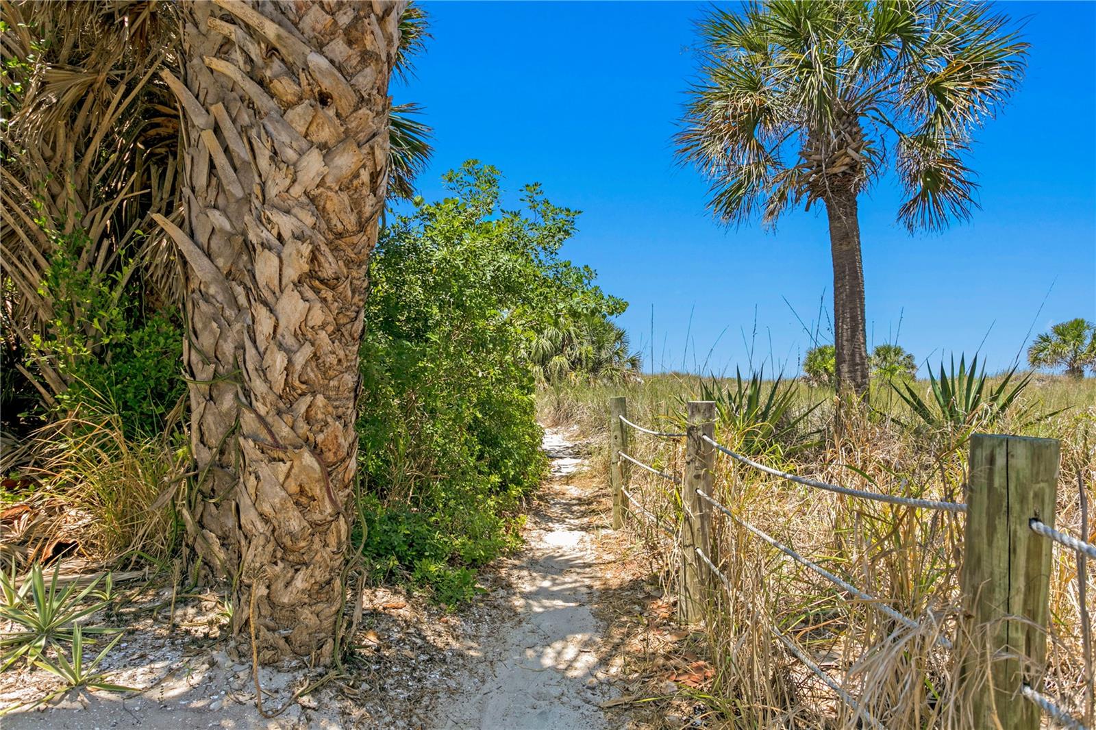 COLONIAL CORP - Residential