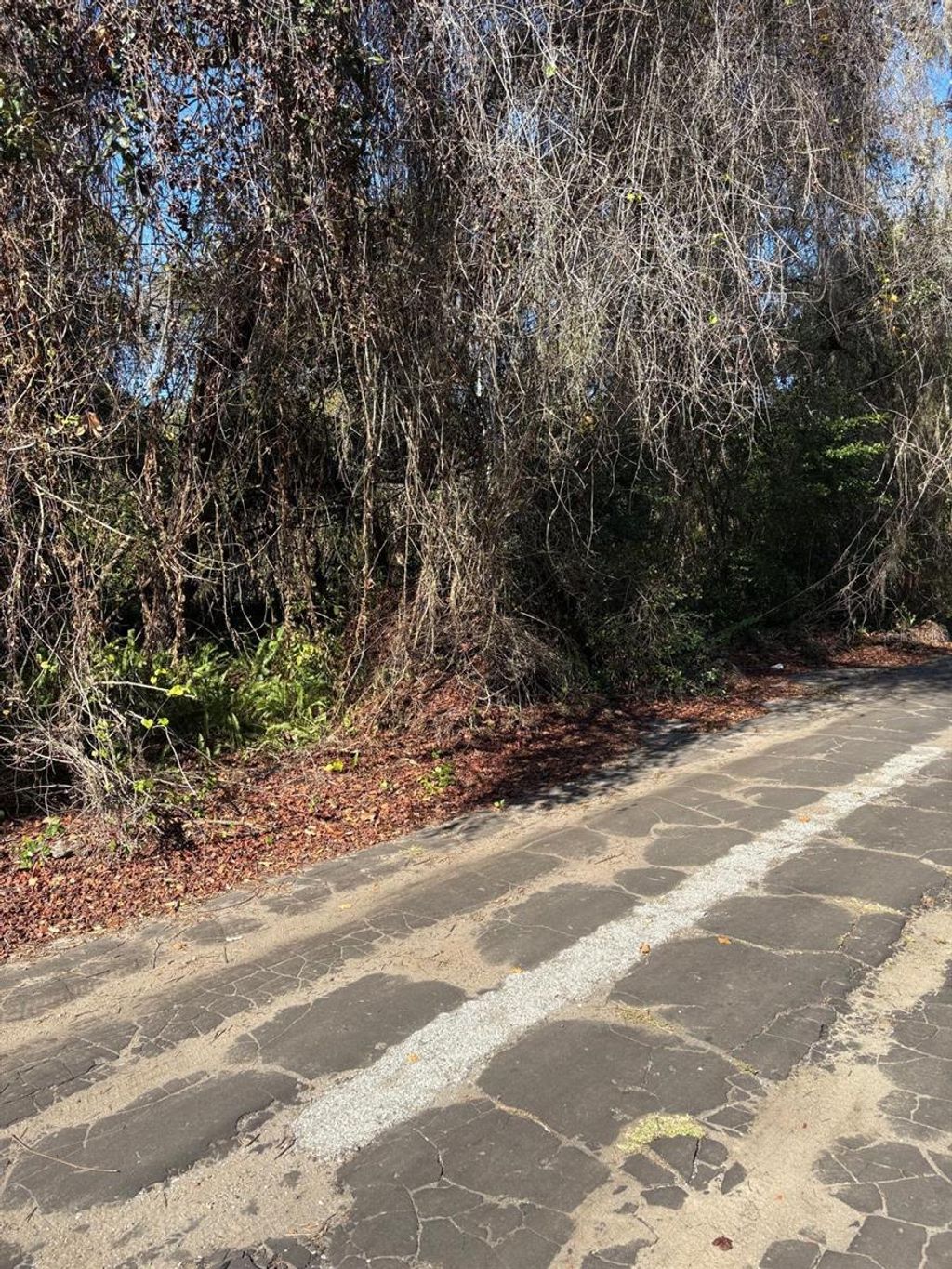 Photo of 0 Pana Street, New Port Richey, FL 34654 (MLS # W7881774)