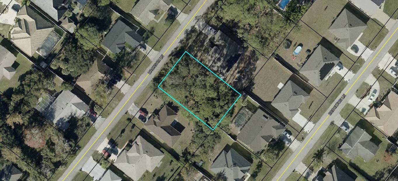 PALM COAST SEC 13 BRESSLER PRCL H BROOKSIDE PRCL P - Land