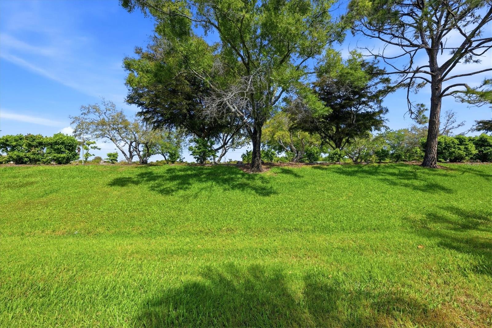 WELLINGTON CHASE - Residential
