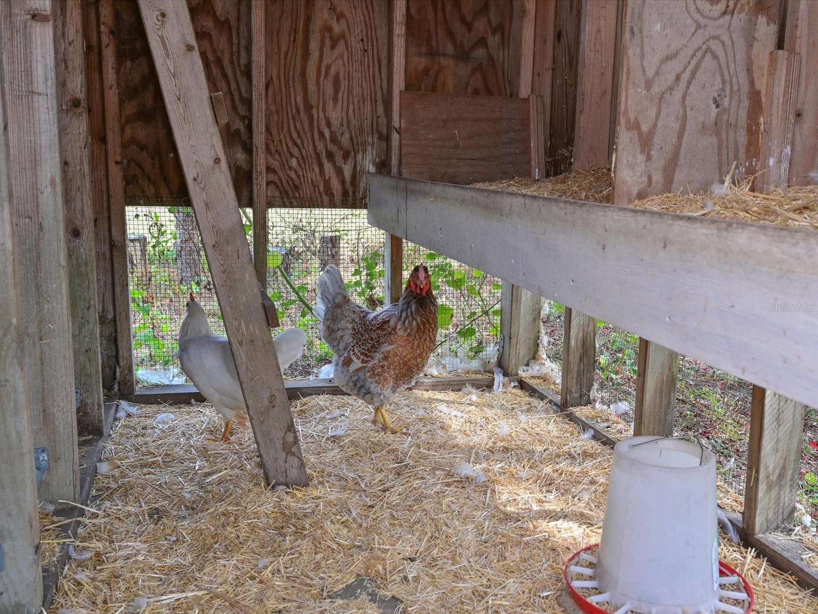 ACREAGE & UNREC - Residential