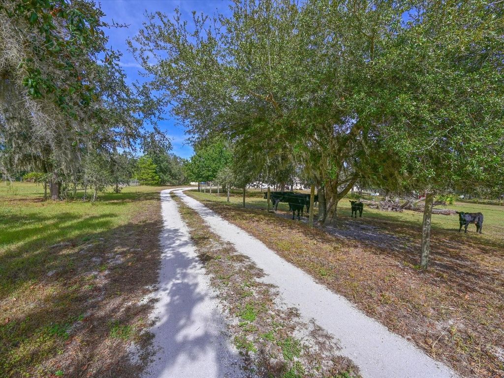 Photo of 40305 73rd Avenue E, Myakka City, FL 34251 (MLS # A4672854)