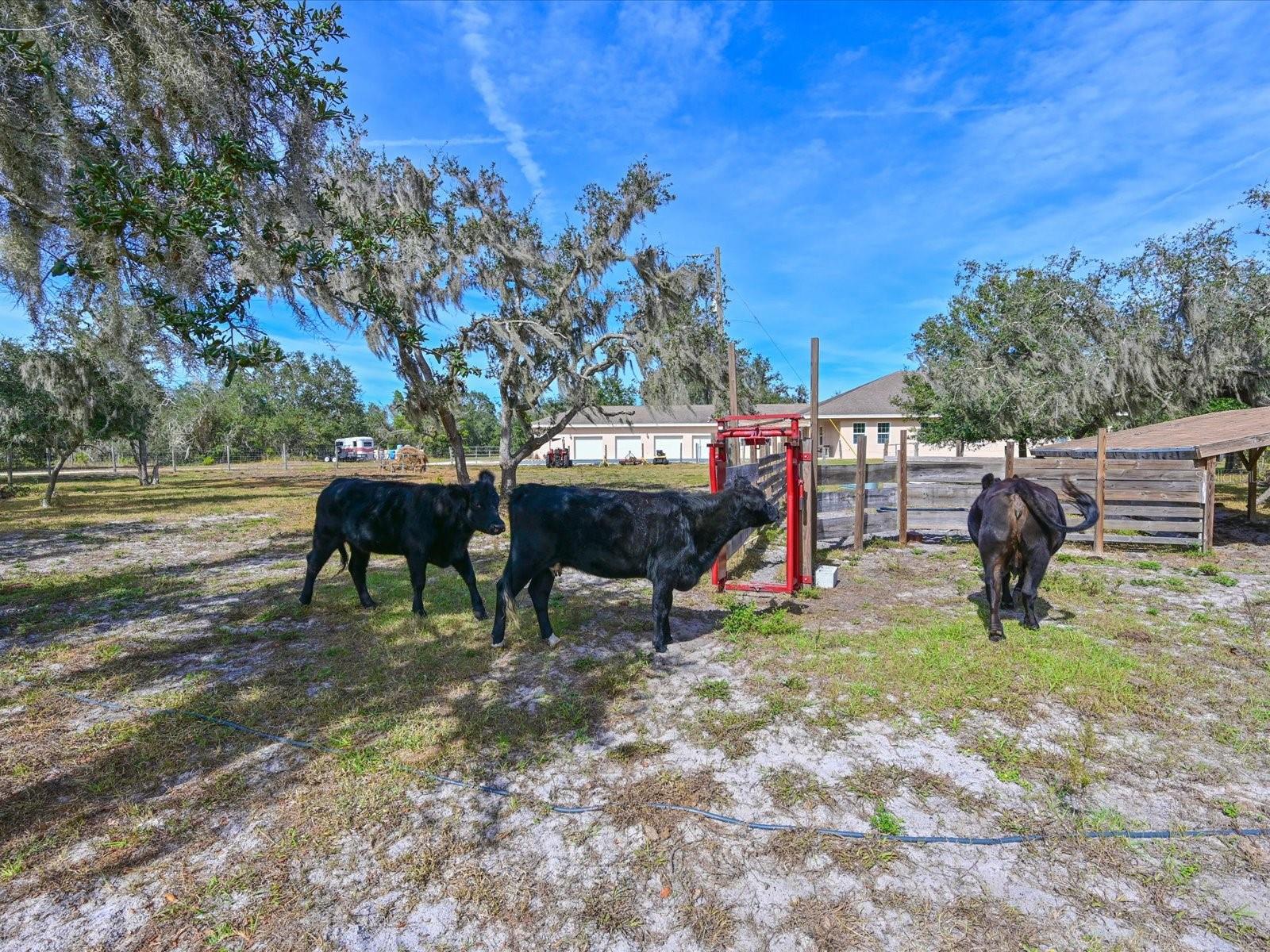 ACREAGE & UNREC - Residential