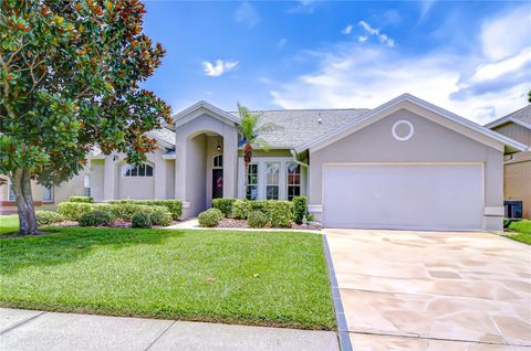 13602 FAWN RIDGE BOULEVARD TAMPA FL 33626