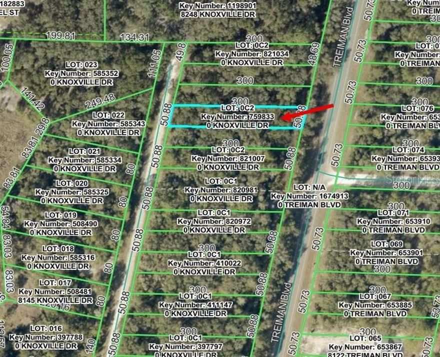 Build Your Dream Home on this .34-acre lot! Located in Hernando County with no HOA! Quiet country setting yet easy commute to Tampa (About 45 miles), Orlando (About 56 miles) or Ocala (about 53) via I75.  Close to downtown Dade City (About 13 miles) and Brooksville (about 18 miles) with monthly and annual events. About 8 miles to shopping center with restaurants, shops and Interstate I-75 or to downtown Bushnell (about 9 miles). Close to Withlacoochee State Trail, Silver Lake (about 10 miles) with camping, fishing and boating, hiking, birding and hunting at the Croom Wildlife management areas (about 15 miles). Croom Motorcycle Area with motor bike trails and camping (About 7 miles away). Ridge Manor Community Park (about 4 miles) with playground, picnic pavilion and ball fields. Ridge Manor Community Center (about 4 miles) with community and social events.