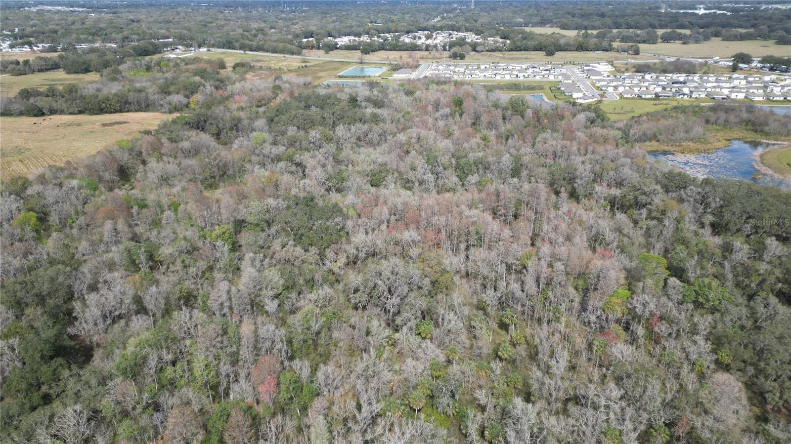Excellent land for recreational purposes! If you would like to live in the city but away from the crowd this land is perfect for you!!! Perfect land for bird watching, meditation and resting. Ideal for photographers to take pictures of nature. Lots of trees to hang your hammock. Incredible opportunity for adventures and hiking through the whole land. No paved access. Buyer responsible of hiring Environmental Consultant to determine building a single home or placing an RV.