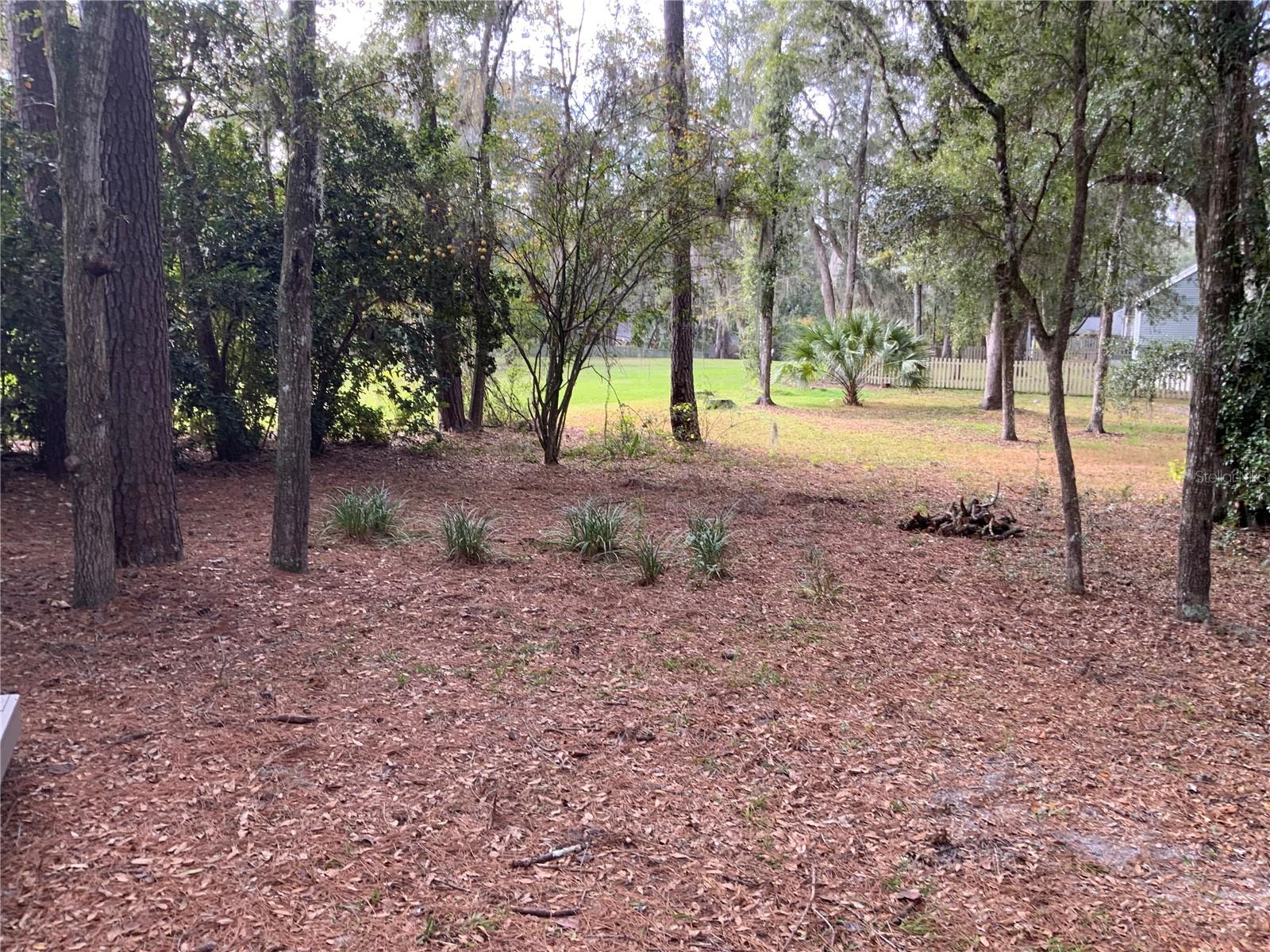 HAILE PLANTATION - Residential