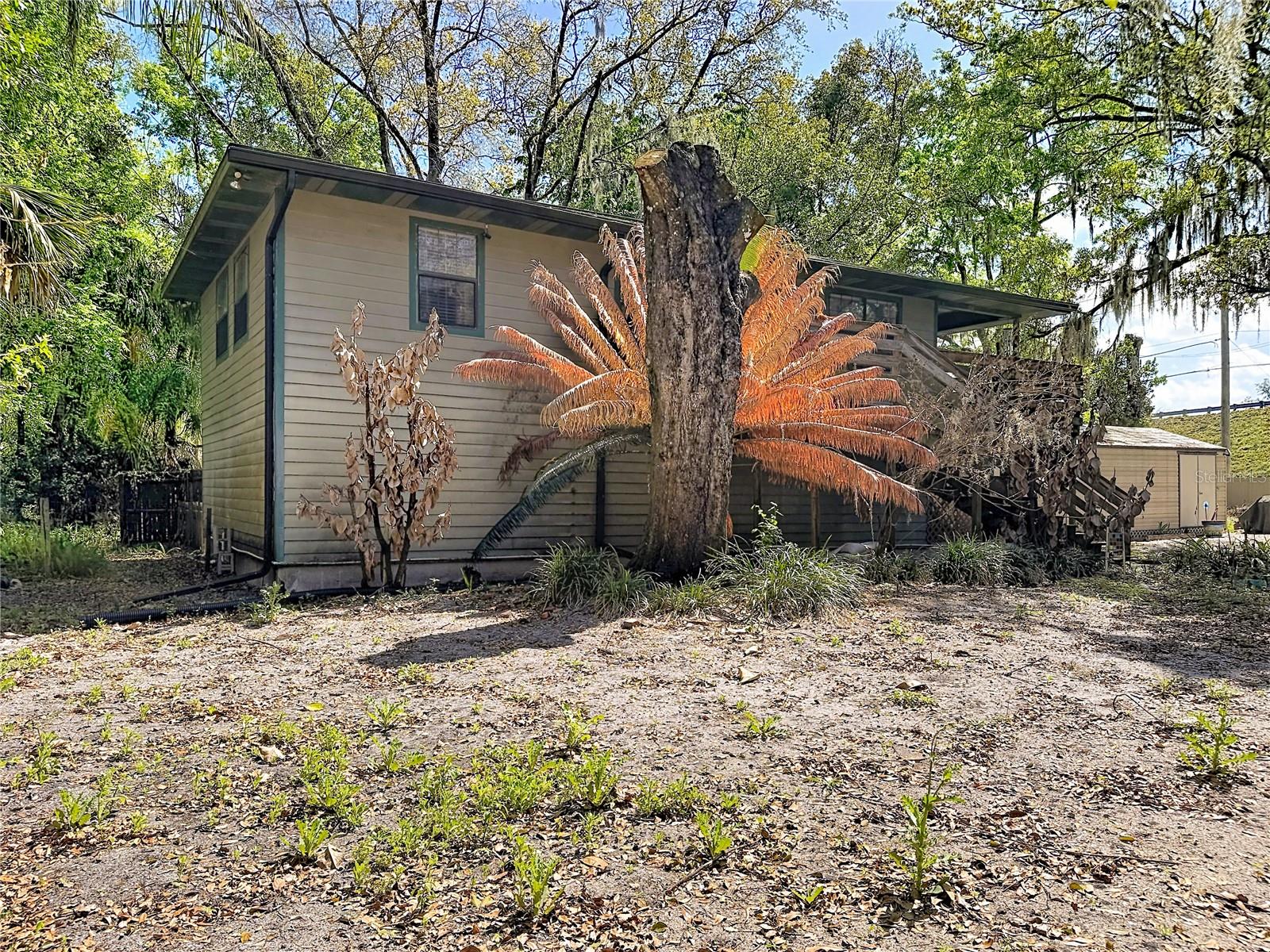 FLA LAND & COLONIZATION COMPANYS CELERY PLANTATION - Residential