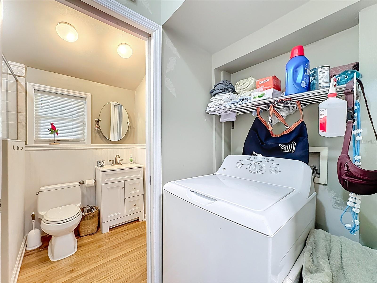 FLA LAND & COLONIZATION COMPANYS CELERY PLANTATION - Residential