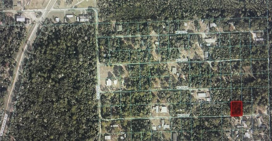 Seller Financing Available – Discover Your Florida Retreat!

Escape to the Ocala National Forest Campsites, where peaceful country living meets endless outdoor adventure. This property offers incredible potential for your dream home or manufactured retreat, surrounded by the scenic beauty of one of Florida’s most cherished natural treasures.

Spend your days exploring miles of hiking trails, casting a line in nearby lakes and rivers, or enjoying hunting and quiet moments in nature. When it’s time to connect with the world, you’re just a short drive from Ocala, Daytona Beach, and Gainesville—offering the perfect blend of serenity and convenience.

With seller financing available, opportunities like this don’t come often. Experience the freedom, beauty, and simplicity of forest living today!
Buyer and buyer’s agent to verify all information.