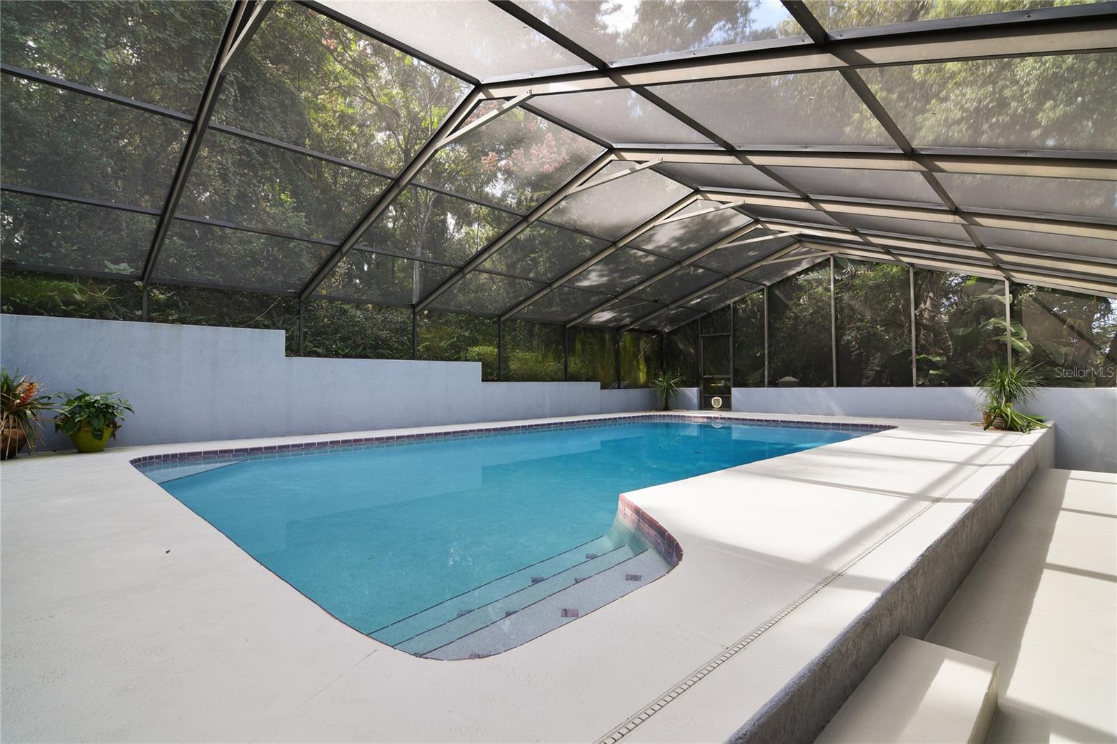 MOUNT DORA FOREST HEIGHTS - Residential