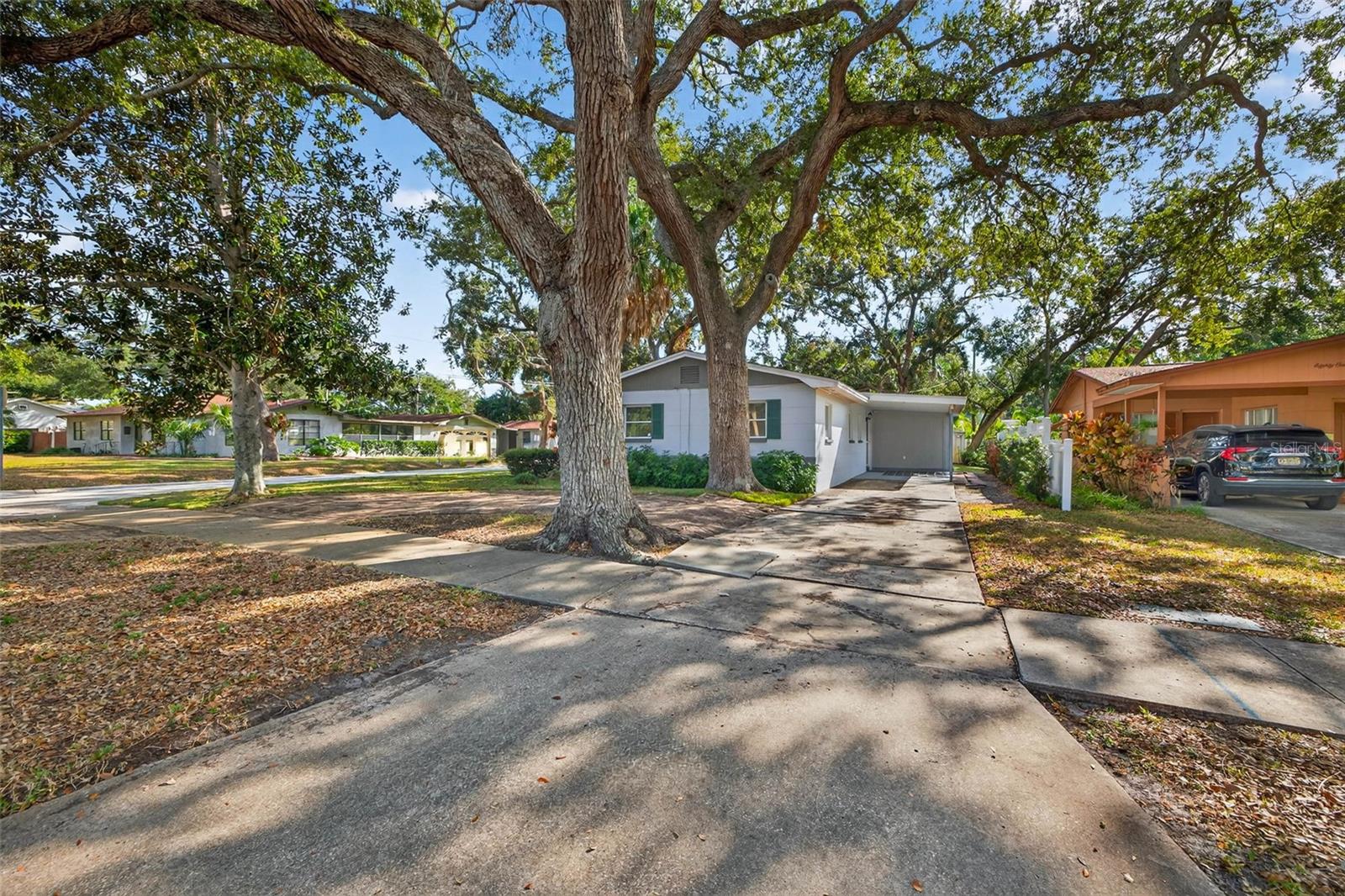 JUNGLE TERRACE SEC B - Residential