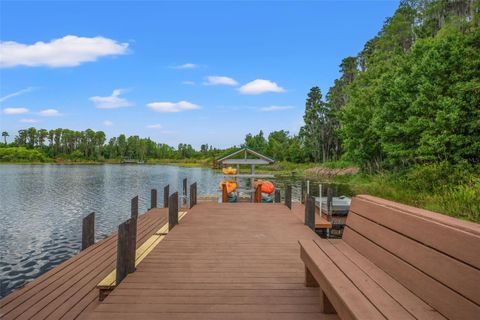 A home in LAND O LAKES