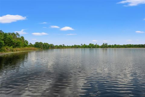 A home in LAND O LAKES