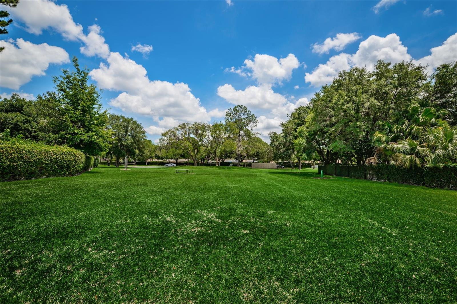 VILLAGE XIV OF CARROLLWOOD VILLAGE - Residential