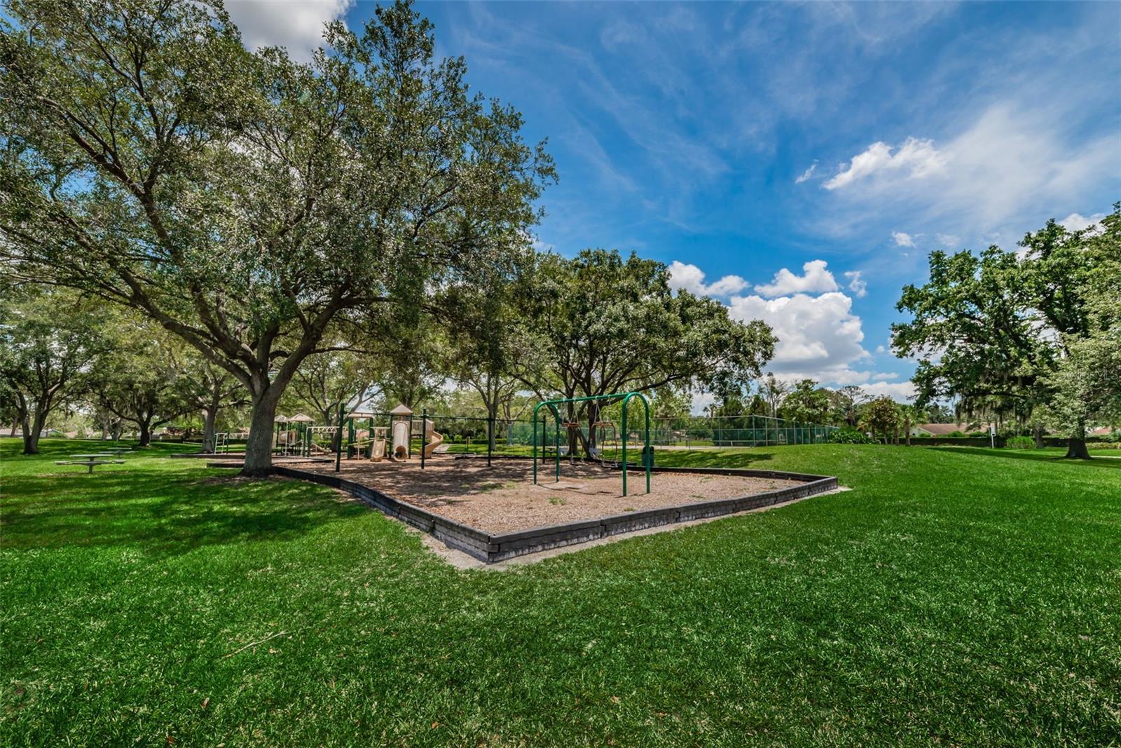 VILLAGE XIV OF CARROLLWOOD VILLAGE - Residential