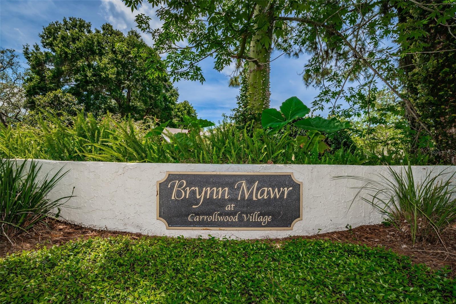 VILLAGE XIV OF CARROLLWOOD VILLAGE - Residential
